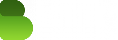 BFLIX Logo